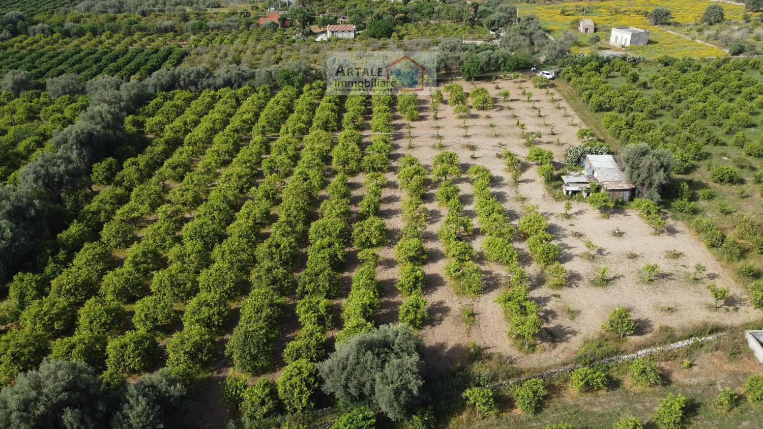 Terreno agricolo in vendita a Avola (SR)