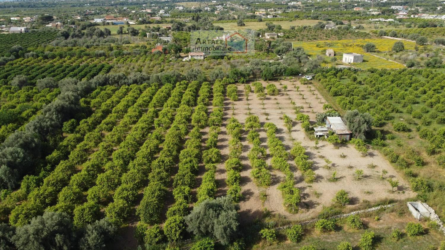 Terreno agricolo in vendita a Avola (SR)