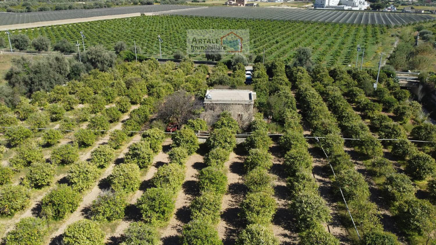 Terreno agricolo in vendita a Avola (SR)