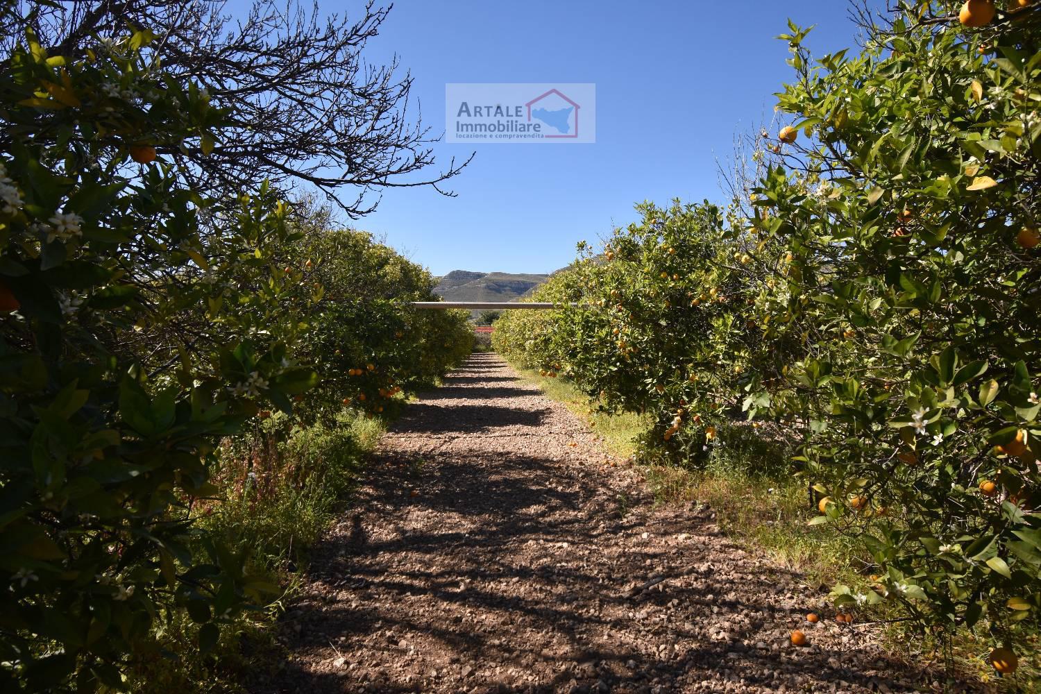 Terreno agricolo in vendita a Avola (SR)