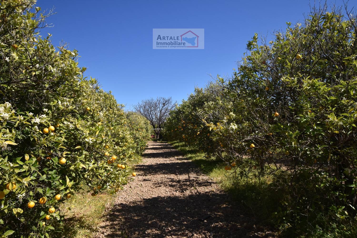 Terreno agricolo in vendita a Avola (SR)