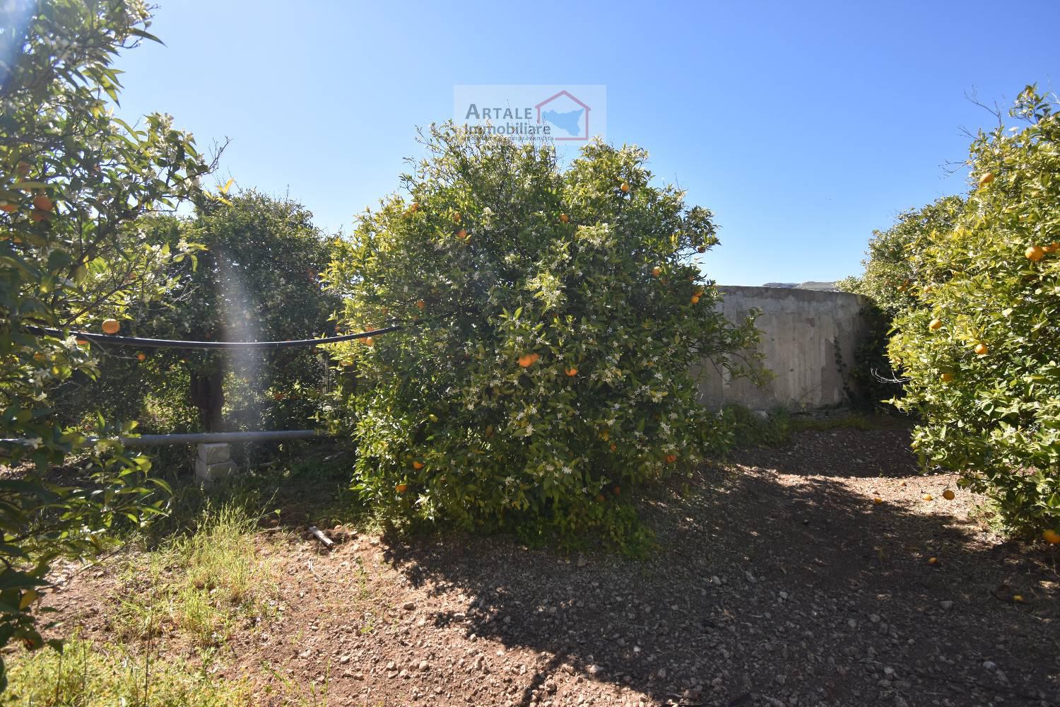 Terreno agricolo in vendita a Avola (SR)