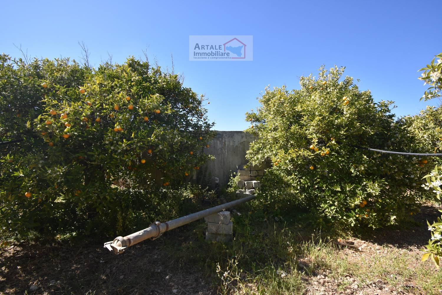 Terreno agricolo in vendita a Avola (SR)