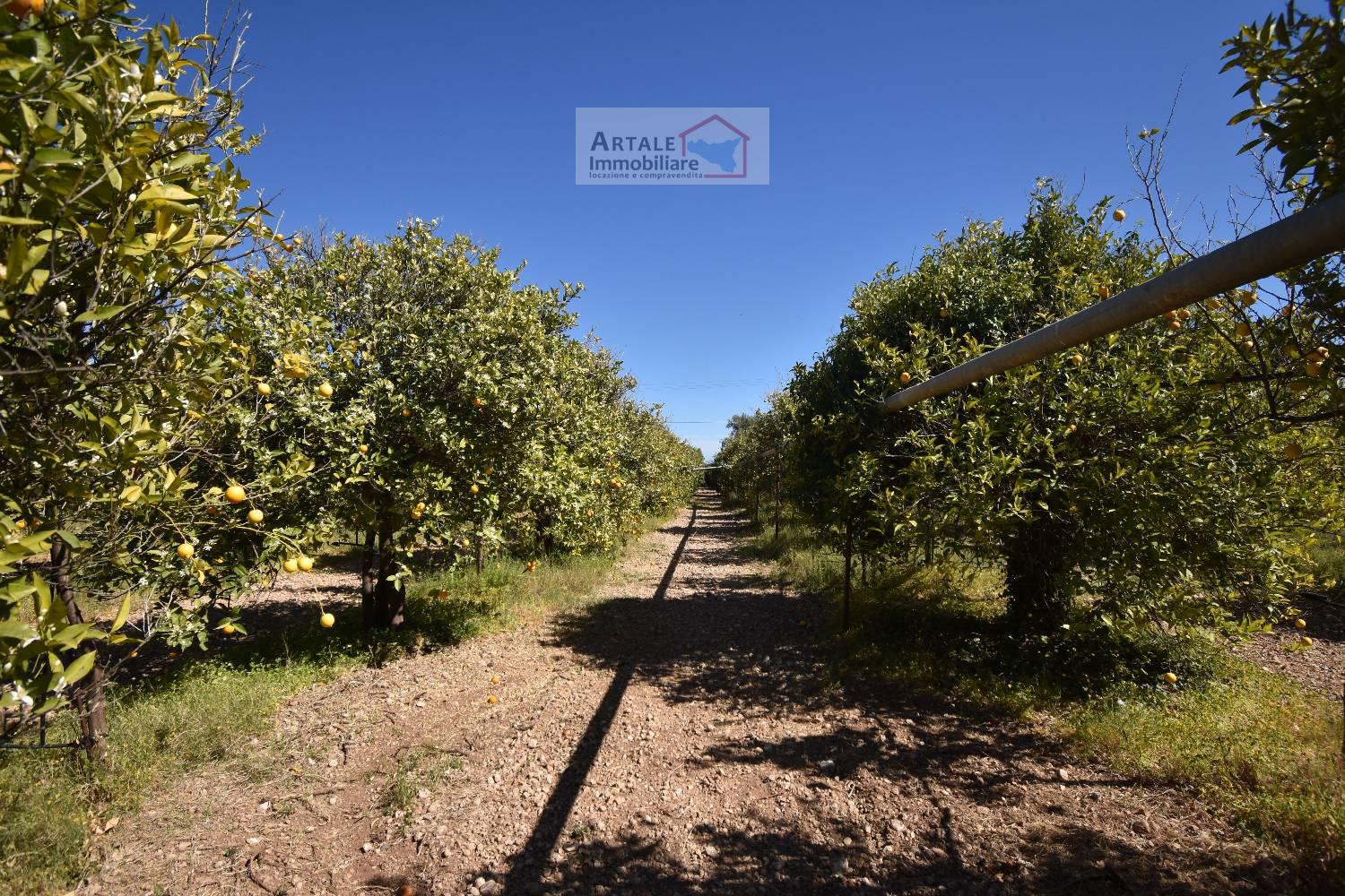 Terreno agricolo in vendita a Avola (SR)