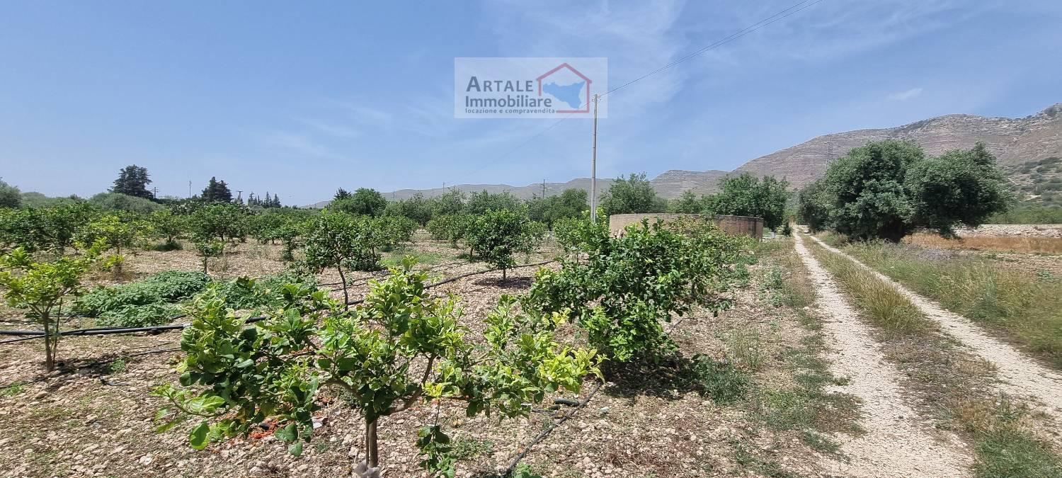 Terreno agricolo in vendita a Avola (SR)