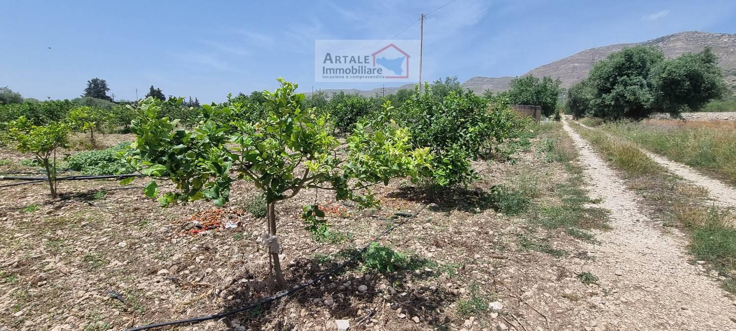 Terreno agricolo in vendita a Avola (SR)