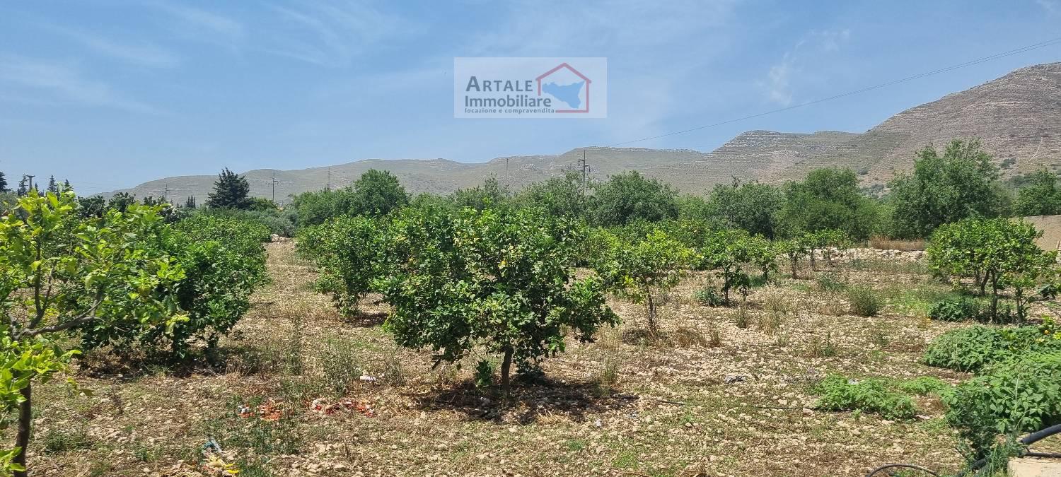 Terreno agricolo in vendita a Avola (SR)