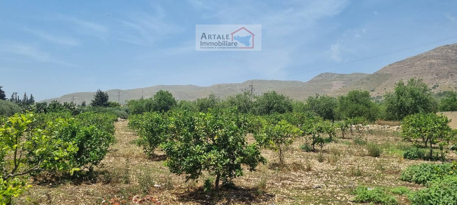 Terreno agricolo in vendita a Avola (SR)