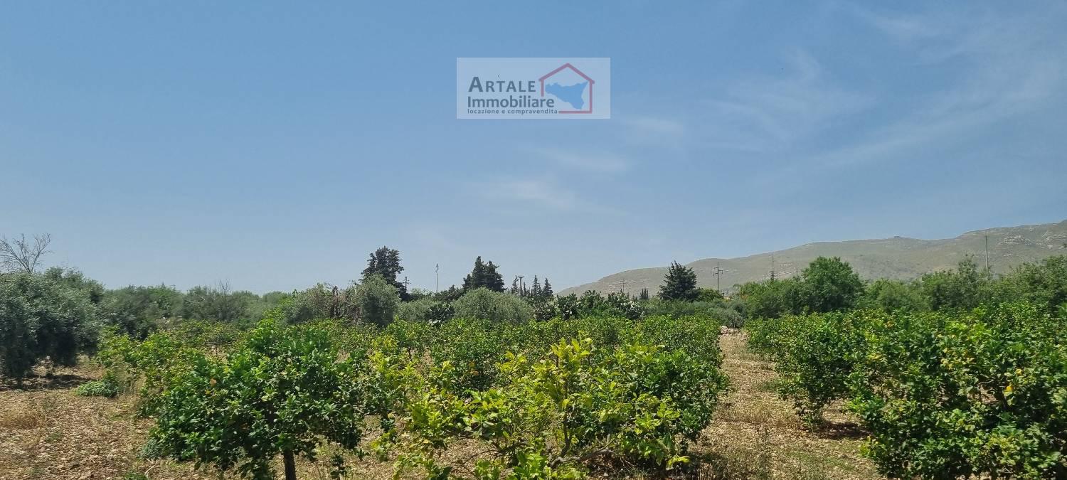 Terreno agricolo in vendita a Avola (SR)