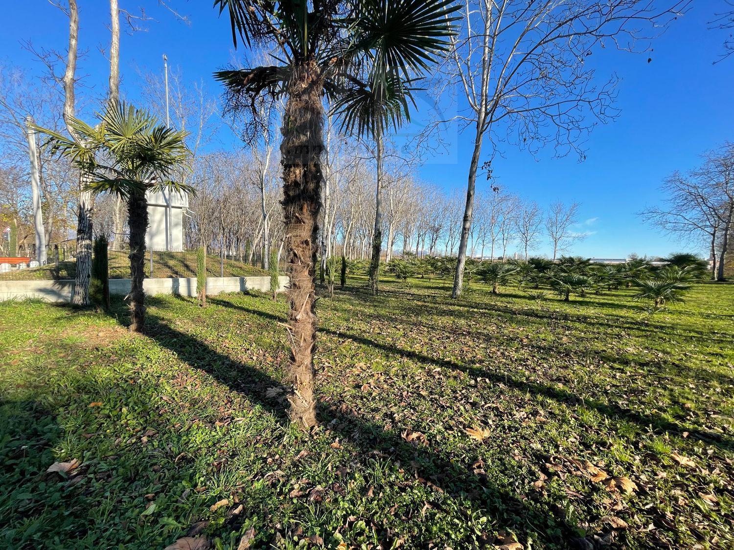 Terreno agricolo in 1 a Rosà (VI)