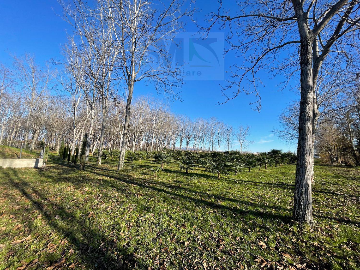 Terreno agricolo in vendita a Rosà (VI)